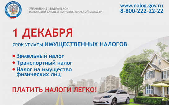 В Новосибирской области началась рассылка налоговых уведомлений за 2020 год